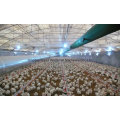 Professional Poultry Equipment with Prefab House Construction From Factory